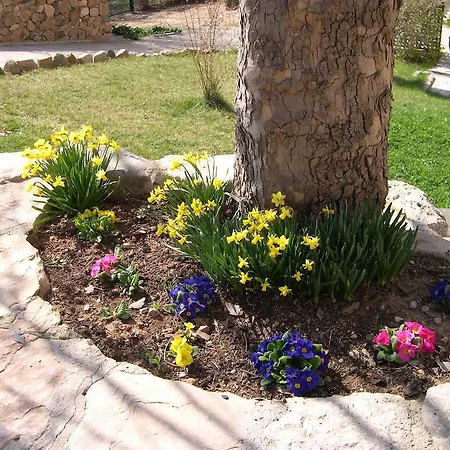 摩力德尔索特公寓 Vimbodi I Poblet